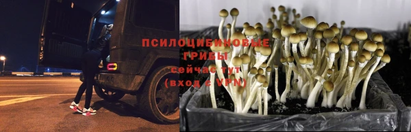 меф VHQ Богородск