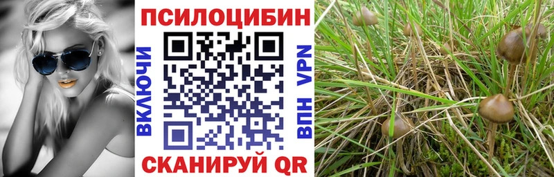Купить где  Курганинск  Псилоцибиновые грибы мухоморы 